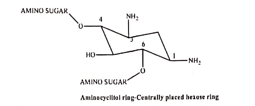 Aminocyclitol ring