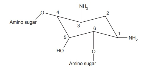 amino sugar portion