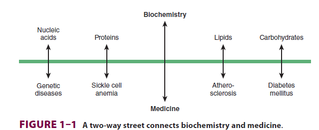 Biochemistry and Medicine