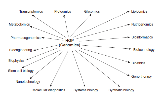 The Human Genome Project (HGP) has influenced many
disciplines and areas of research