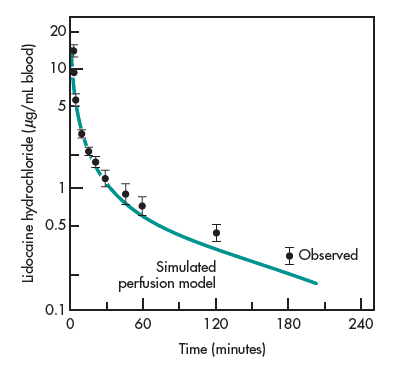 FIGURE 1-9 Observed mean (•) and simulated (—)
arterial lidocaine blood concentrations in normal volunteers
receiving 1 mg/kg/min constant infusion for 3 minutes. (From
Tucker GT, Boas RA: Pharmacokinetic aspects of intravenous
regional anesthesia.FIGURE 1-9 Observed mean (•) and simulated (—)
arterial lidocaine blood concentrations in normal volunteers
receiving 1 mg/kg/min constant infusion for 3 minutes. (From
Tucker GT, Boas RA: Pharmacokinetic aspects of intravenous
regional anesthesia.