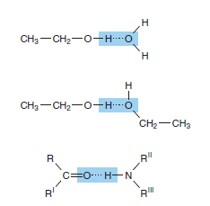 Additional polar groups participate in hydrogen
bonding.