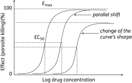 Drug Concentrations to Drug Response