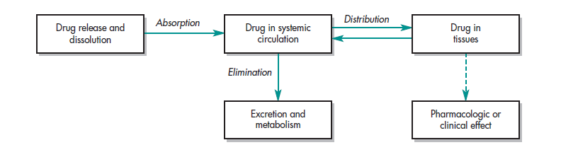 Scheme demonstrating the dynamic relationship between the drug, the drug product, and the pharmacologic effect, Biopharmaceutics