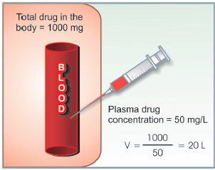 concept of apparent volume
of distribution(V), Drug distribution