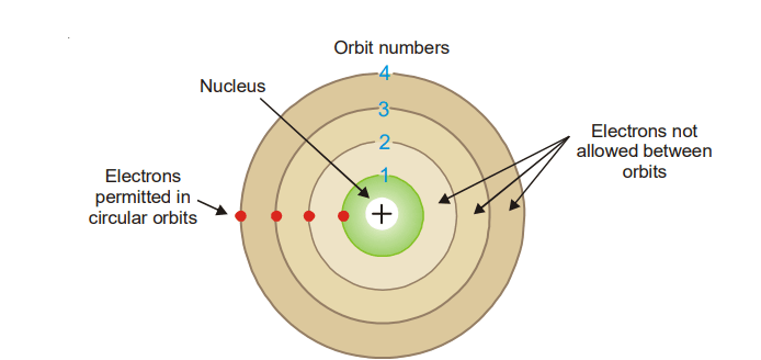 Circular electron orbits or stationary energy levels in an atom, (Bohr’s Theory)