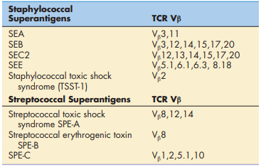 Staphylococcal and Streptococcal
Superantigens