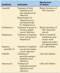 Toxic shock syndrome and treatment - Pharmacy Gyan