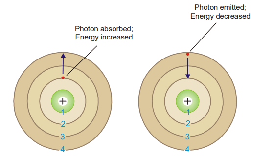 An electron absorbs a photon of light while it jumps from a lower to a higher energy
orbit and a photon is emitted while it returns to the original lower energy level. (Bohr’s Theory)