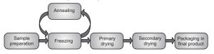 Freeze Dryer Principle Construction Working Advantage - Pharmacy Gyan