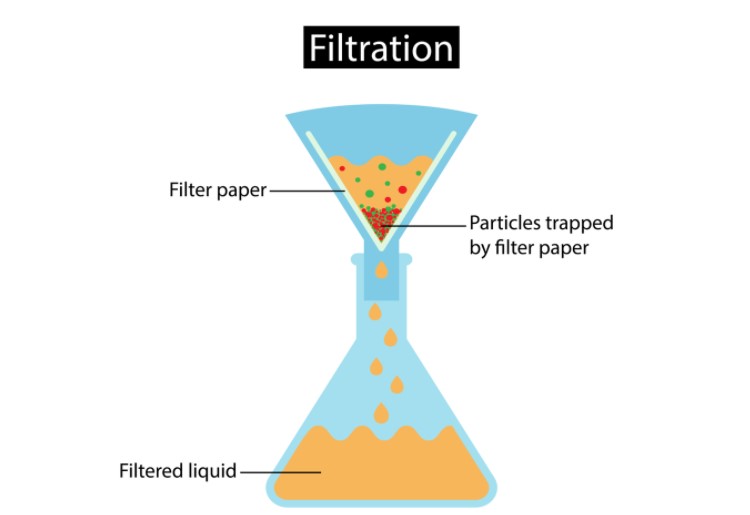 Factors influencing filtration
