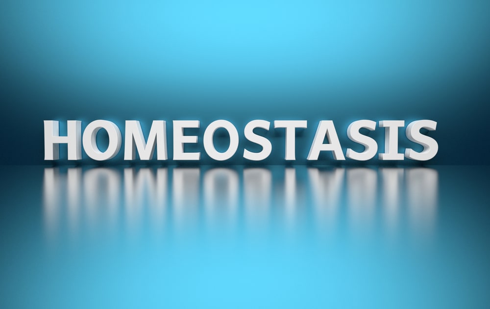 Meaning of homeostasis