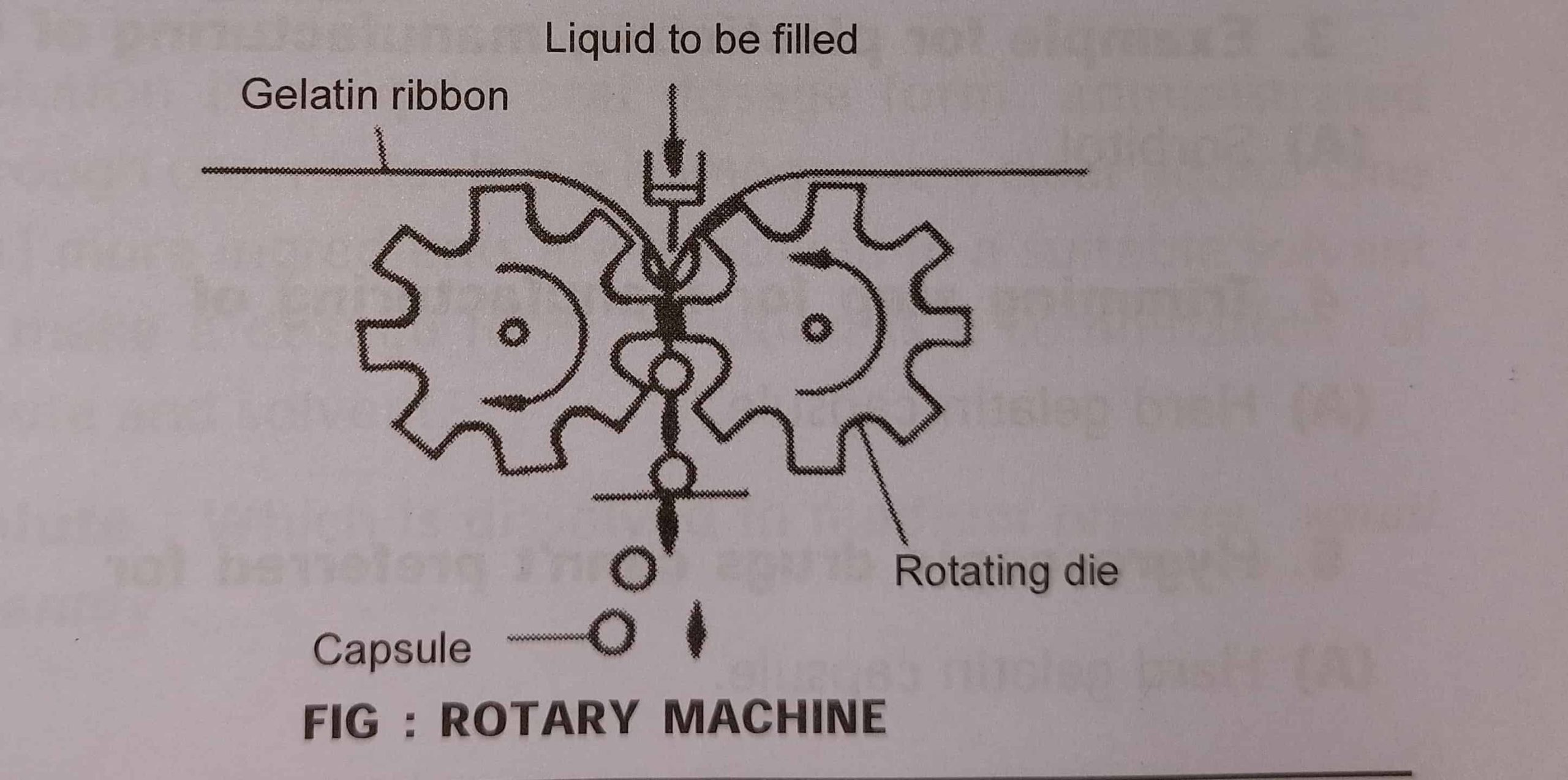 Preparation of soft gelatin capsule by rotary die process