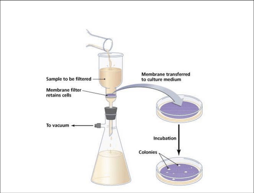 membrane filter