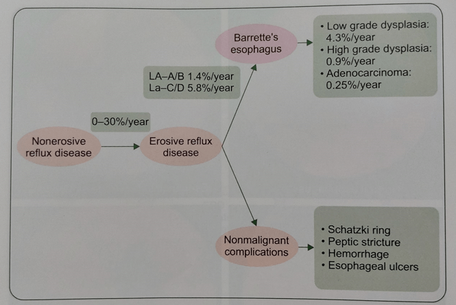 Natural history and progression of GERD spectrum