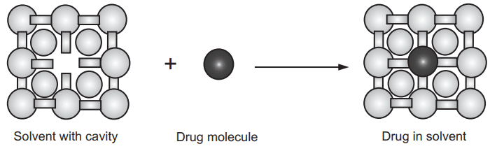 Mechanisms of solute solvent interactions